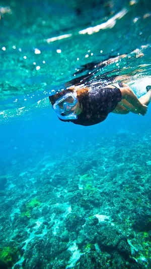 Snorkeling Wallpaper Screenshot 0