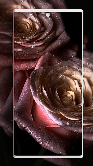 Flower Wallpapers Screenshot 2