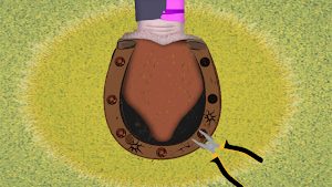 Royal Horse Care Screenshot 1