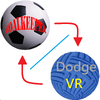 Combo:goalkeeper & dodge ball