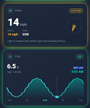 ReelCast Screenshot 1