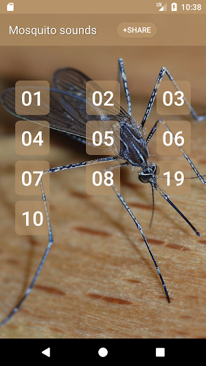 Mosquito sounds Screenshot 0