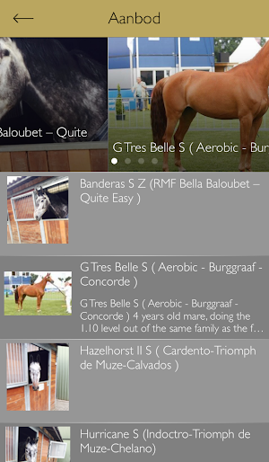FvS Sport Stables Screenshot 1