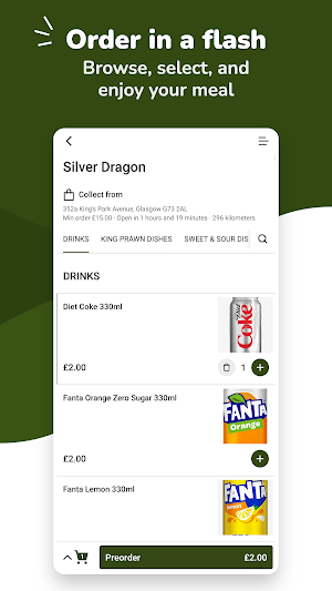 Silver Dragon Screenshot 0