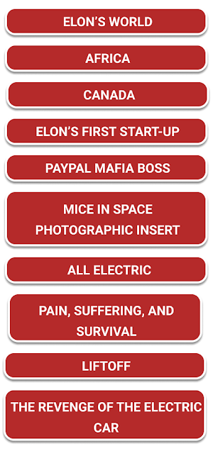 Elon Musk Biography Screenshot 3