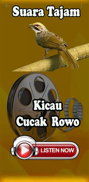 Masteran Cucak Rowo Full Isian Screenshot 3