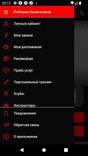 RеФорма Screenshot 2