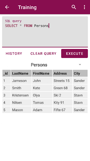 SQL Reference Screenshot 3