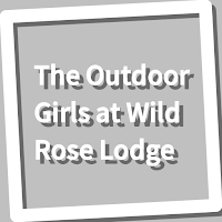 Book, The Outdoor Girls at Wild Rose Lodge