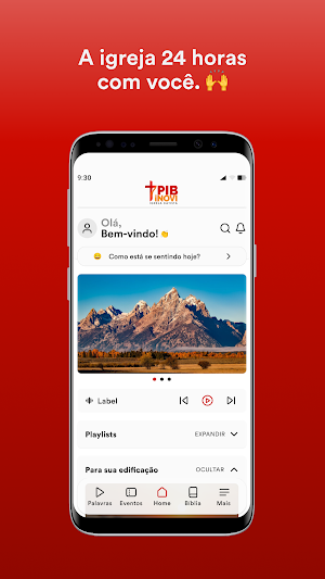 Pib Redenção Screenshot 0