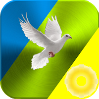 Healing spiritual illnesses