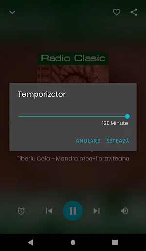 Radio muzică populară Screenshot 2