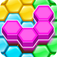 Hexa Puzzle Wood Block