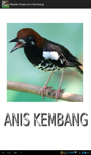 Master Kicau Anis Kembang Screenshot 2