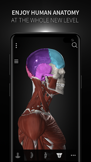 Anatomyka - 3D Human Anatomy Atlas screenshot 7
