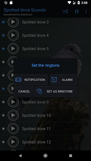 Spotted dove sounds ~ Sboard.pro Screenshot 3