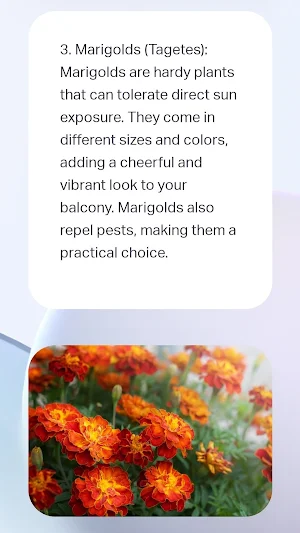 Plant your garden dreams AI Screenshot 3