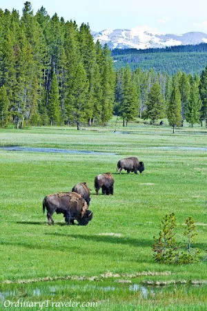 Wyoming Wallpaper HD Screenshot 1