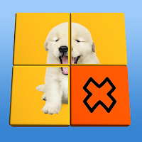 Flip Puzzle
