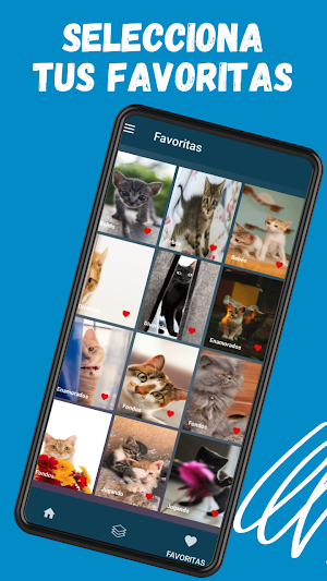 gatitos Screenshot 2
