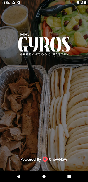 Mr. Gyros Greek Food Screenshot 0