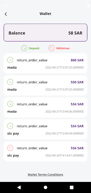 NS delivery Screenshot 2