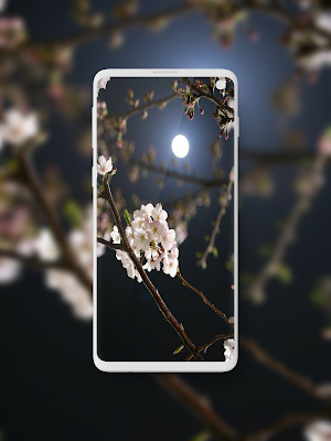 Sakura Wallpaper Screenshot 0