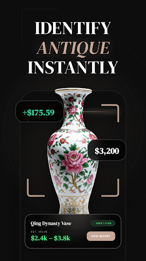 Antique Identifier & Value Screenshot 0
