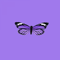 Purple Live Wallpaper Parallax