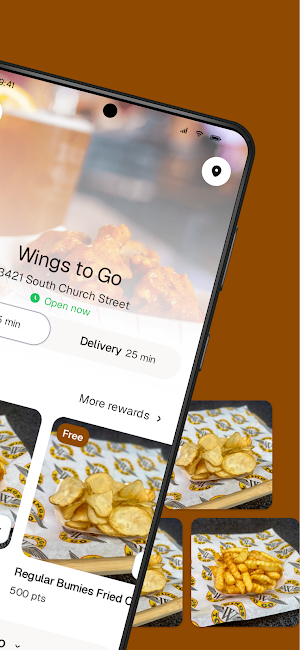Wings NC Screenshot 1