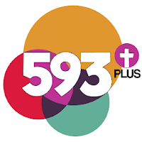 593PLUS