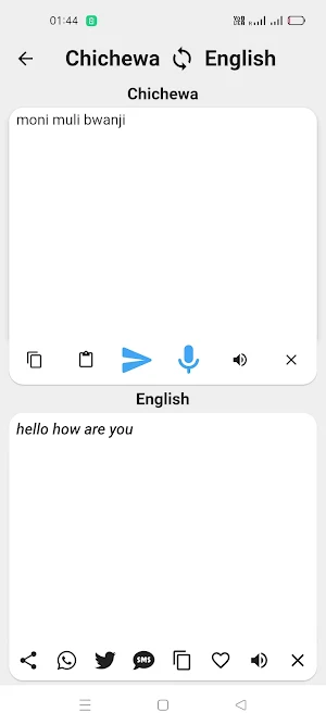 Nyanja To English Translator Screenshot 1