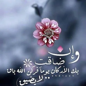 حكم واقوال عن الحياة بدون نت Screenshot 1
