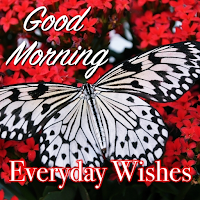 Good Morning Everyday Greeting