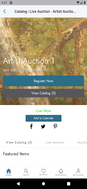 DVSA Art Auctions Screenshot 2