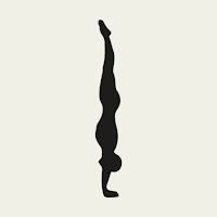 Primal Moves