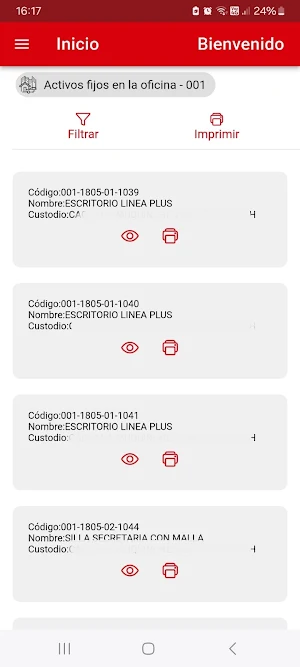 Silver Activos Fijos Screenshot 2