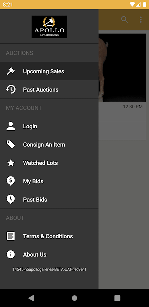 Apollo Art Auctions Screenshot 3