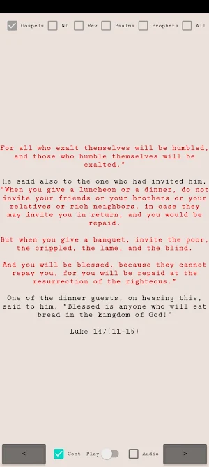 NRSVCE Bible Verses Screenshot 3