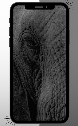 Elephant Wallpaper Screenshot 3