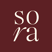 Sora Studio