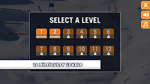 Slalom Ski Simulator Screenshot 2
