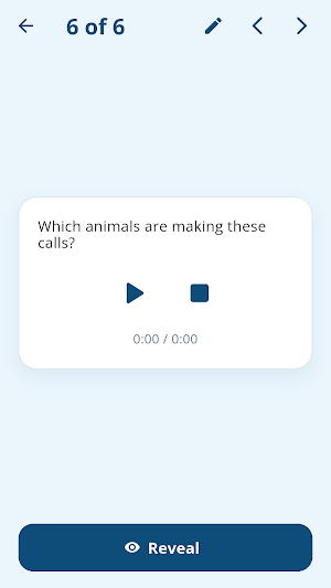 Amazing Flash Cards Screenshot 3