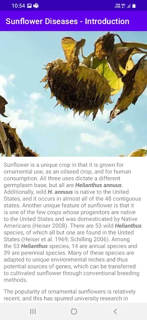 SDIC - Sunflower Diseases Screenshot 1
