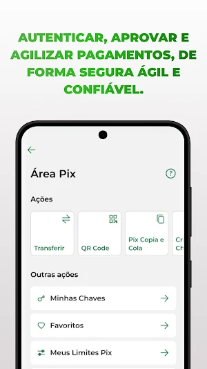 Authpay Screenshot 2