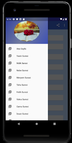 Yasin Tebareke Amme (Nebe) Sureleri Meal Tefsir Screenshot 1