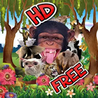 Animals Sound