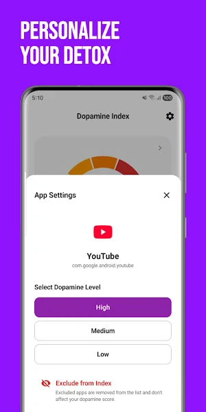 Dopamine Index: Digital Detox Screenshot 2