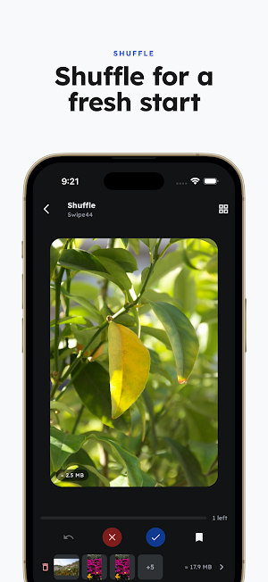 Photo Cleaner - Swipe44 Screenshot 3