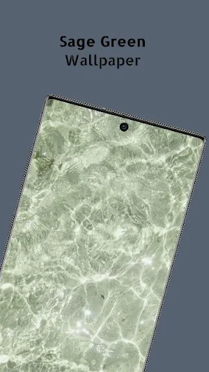 Sage green aesthetic Wallpaper Screenshot 0